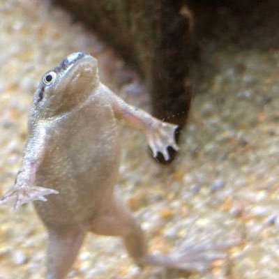 mildsalt_48's profile picture. 