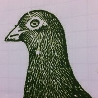 Susanna Park (@zannaspark) 's Twitter Profile