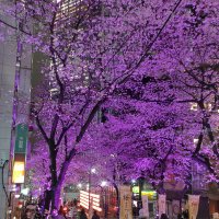 tora (@toratyann74) Twitter profile photo