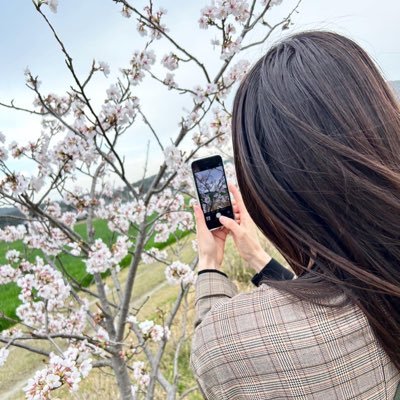 🎐ひまわり🎐です🌻 インテリア*🏠雑貨*🎐歌が大好きです✨ ※プライベートな内容を含むDMはお返し出きません。