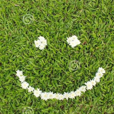 ItBare's profile picture. Tacos aren't just for Tuesday's