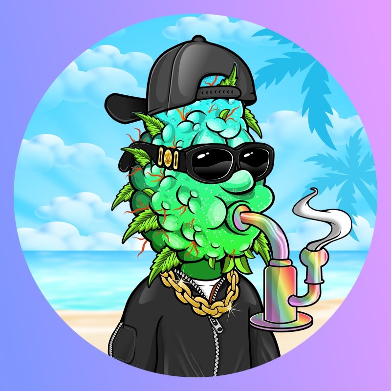 byrdnft207's profile picture. Future🧠👁️🤔 creator. 🎮🕹️👾Changer.Personal trainer💪🦾💪. Soon to be Crypto 👑🪙💳. Love 🦅🦉🪶 and 🎤🎶🎧....

https://t.co/7lovgFX6bU