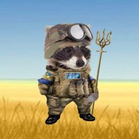 FearTheCoon (@fearthecoon) 's Twitter Profile