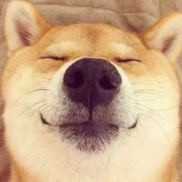 Pray (@docz45002439) 's Twitter Profile