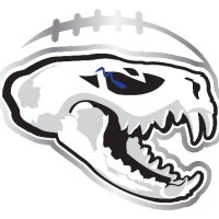 Minnesota Minx Football(@mnminxfootball) 's Twitter Profile Photo