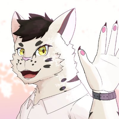 Medikittyさんのプロフィール画像