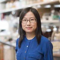 Jing Hu(@Hujing_Bio) 's Twitter Profile Photo