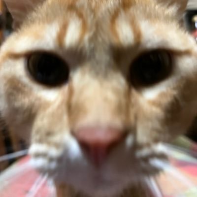 83【造】さんのプロフィール画像