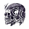 siroketto_0116's profile picture. 
