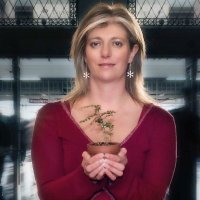 Melissa Clark-Reynolds (@honeybeegeek) 's Twitter Profile