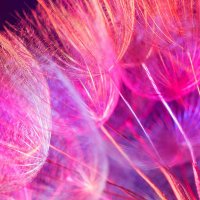 達哉 (@tatsu1301891580) 's Twitter Profile Photo