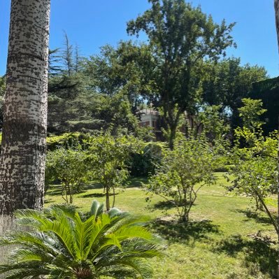 ThisIsALoo's profile picture. 