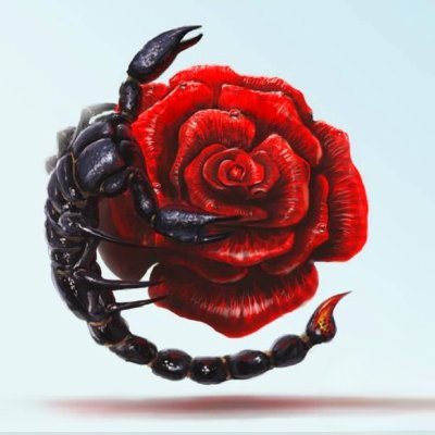 slowflow777's profile picture. 