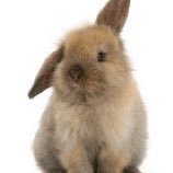 NathanKopilec's profile picture. 