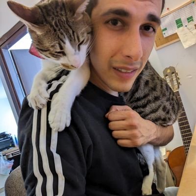 מעצב ומלחין פסקול. יצירה.
מנסה להפוך את החתול שלי לסלב.