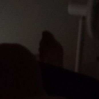 bk2042328's profile picture. 재워줄께