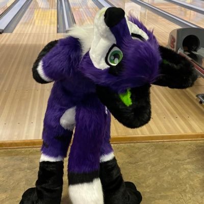 Goni Foxさんのプロフィール画像