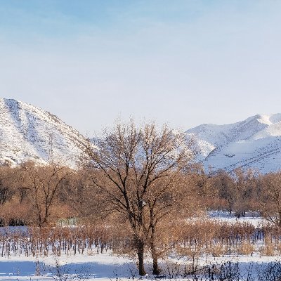 XJHYZS's profile picture. The world is so big，I want to have a look.