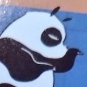泥さんのプロフィール画像