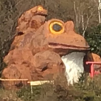 tofu_quiz's profile picture. KQS部長