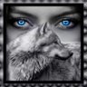 JesseWolfDancer's profile picture. Army Brat, L.E.O., LoneWolf/Female. Advocate for Veterans, Kids, Animals.  1A/2A/USA 1st. DM at risk, I may bite. Be real or B gone. Adapt, Improvise, Overcome.