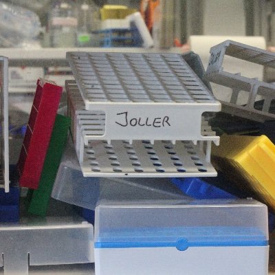 Immunology lab @DQBM_uzh @UZH_en studying host-pathogen interactions and how these affect the regulation of the immune system.