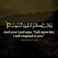 haq ki awaz (@md63704055) 's Twitter Profile