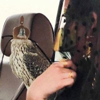 AH. (@_i40i) 's Twitter Profile