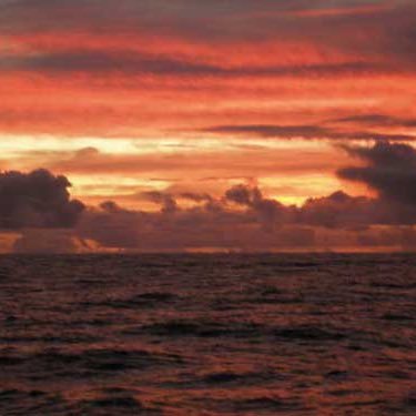 AnalogOcean's profile picture. 