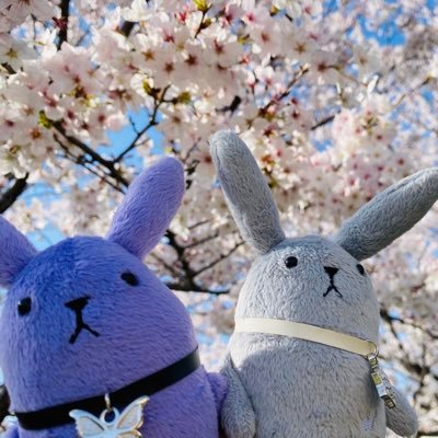 20↑ いろんなところに推し様がいる人です。雑多に呟きます。苦手な方は避けてください🙇♀️ ツキウタ 最推しは始・隼ですが箱推し気味です。お取引の際2日以上返信がない場合は通知が来ていないので、お手数ですが最新の交換ポストにご連絡いただけると助かります。
