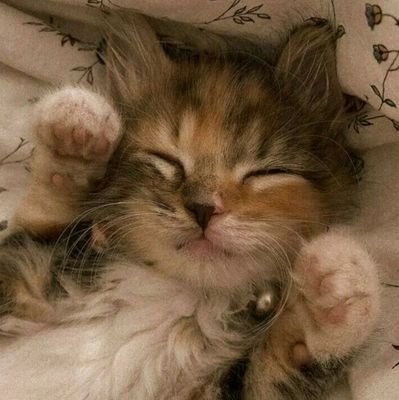 pay2bgay's profile picture. 0