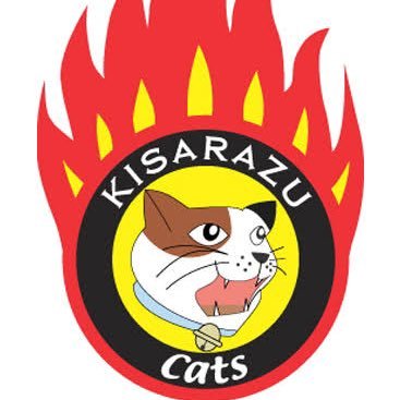 BanbIiiiI_UchII's profile picture. 野球アカ/主に高校野球だけど全般的に好き