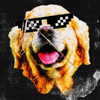 Don't Dodge Security Dawg(@d_dsdawg) 's Twitter Profile Photo