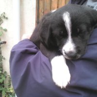 Tessy (@kaliora16) 's Twitter Profile