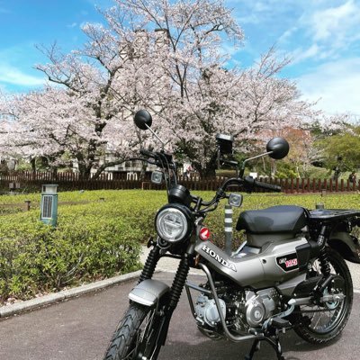 cub_itengineer's profile picture. 都内のITエンジニア/都会から少し離れて生活/愚痴や思ったことをただただツイート/猫や温泉、カブでのツーリングが好き