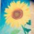 eFRM's icon