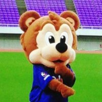 新熊さん(@shin9ma) 's Twitter Profile Photo