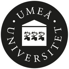 Humlab at Umeå University – a meeting place for the humanities, digital technology and culture. Established in 2001.