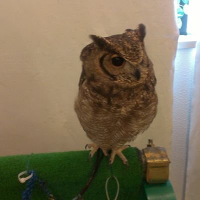 ti_a_ki7777's profile picture. 閲覧