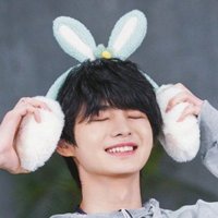ぬこ (@hikarunome328) 's Twitter Profile