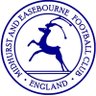 Midhurst_FC's profile picture. New official Twitter account of Midhurst & Easebourne FC.  Members of the Southern Combination League.