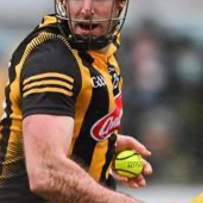 Supplier of top quality hurls and sliotars Hurls from Kilkenny star Declan Barron