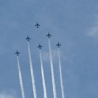 きりたんぽ (@kiritan2030) 's Twitter Profile