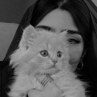 💙 (@m31458477) 's Twitter Profile
