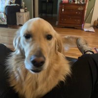 John Russell (@thunderhawk1955) 's Twitter Profile