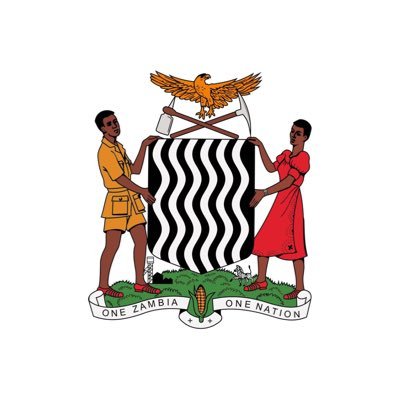 Ministry of Health Zambia Profile