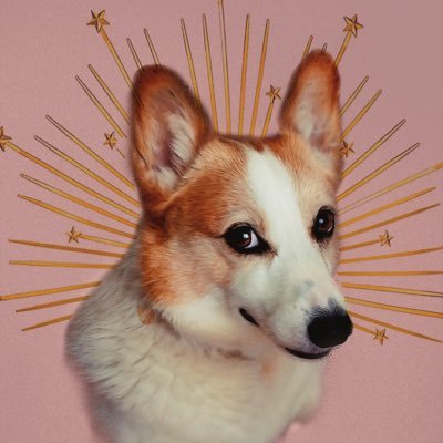 wheredalitehits's profile picture. 猫みたいなコーギー のエマと飼い主は2人共にうお座 /いろんな人とつながりたい/ Japan