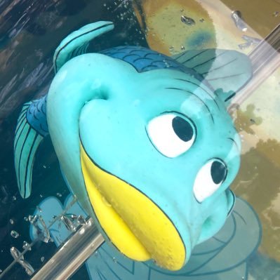 sakosako_kango's profile picture. 