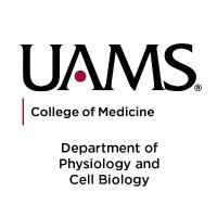 UAMS Physiology & Cell Biology(@uams_physiology) 's Twitter Profile Photo