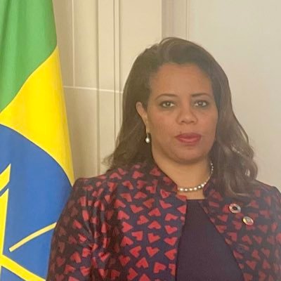 AMBASSADOR EXTRAORDINARY AND PLENIPOTENTIARY OF THE FEDERAL DEMOCRATIC REPUBLIC OF ETHIOPIA TO THE FRENCH REPUBLIC